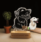 Luminária Personalizada com Foto 3D LED